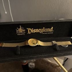Disneyland Watch
