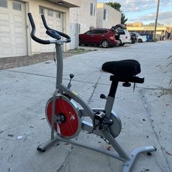 Sunny Health & Fitness Bike