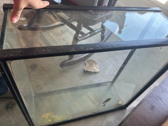 Reptile tank