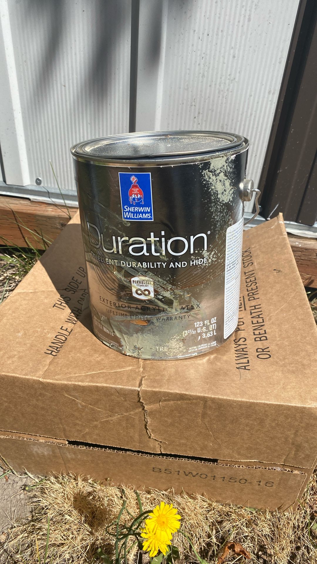 Paint for sale