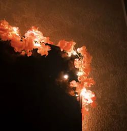 Bundle Of Pink Rosa LED Light And Light Rosa LED Light 