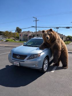 2011 Lexus Rx 450h