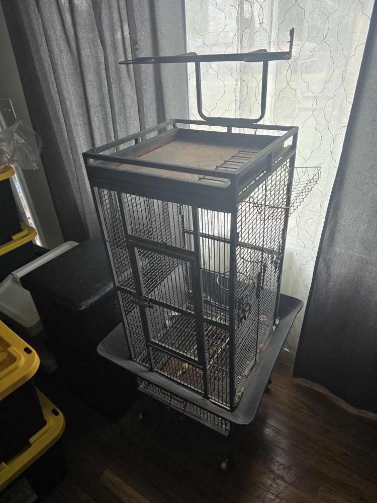Bird Cage