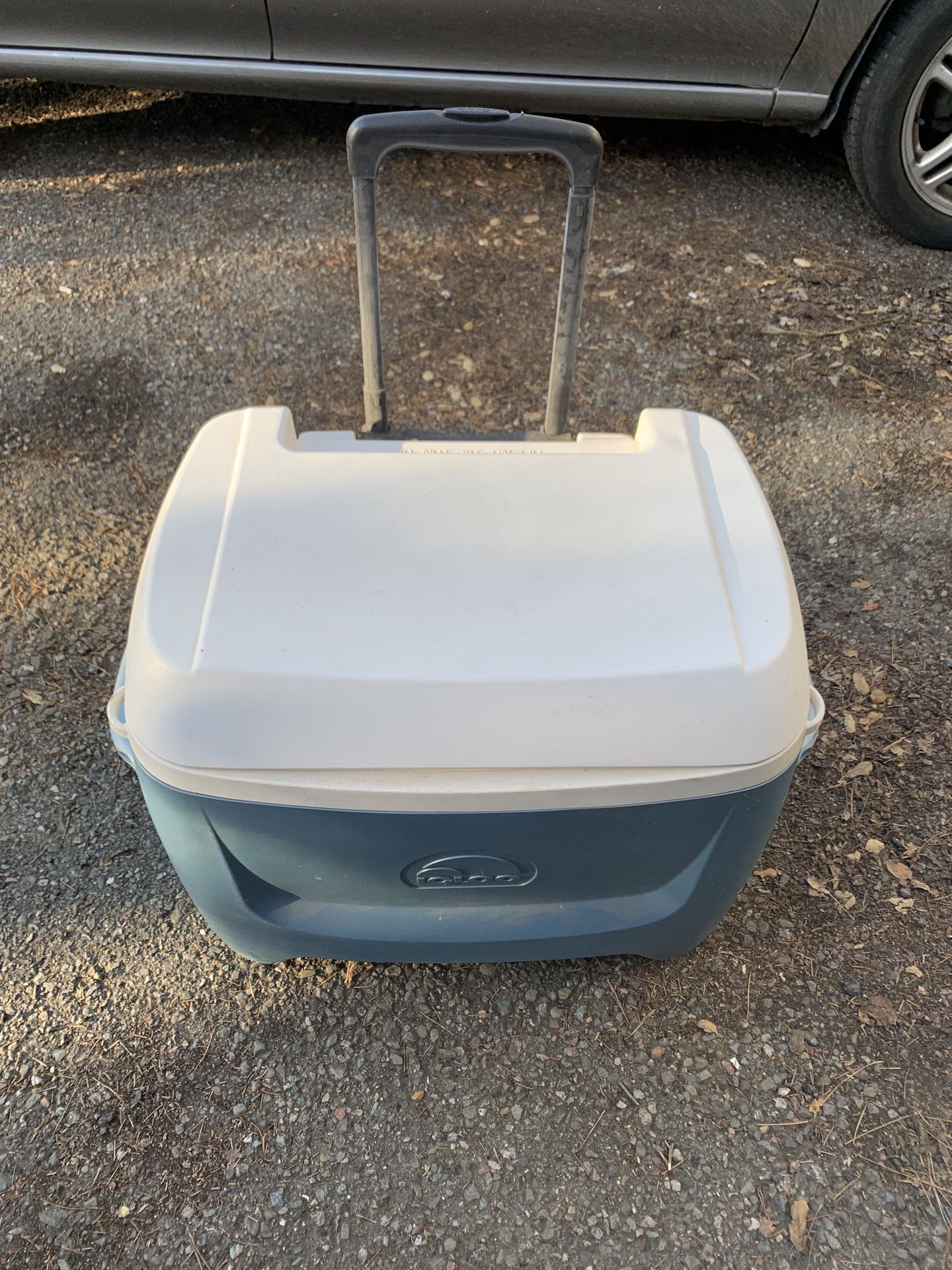 Ighloo Rolling Cooler