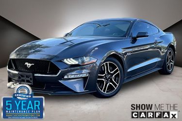 2019 Ford Mustang