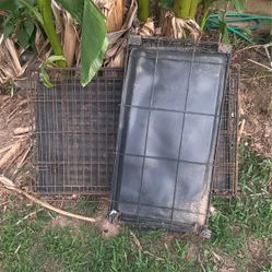 Animal Cage 