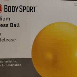 Exercise Ball