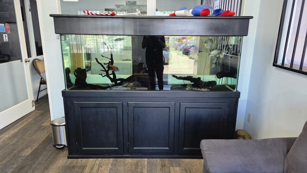 AQUARIUM 200 gallons Fresh Water With Wood Stand And All The Accessories