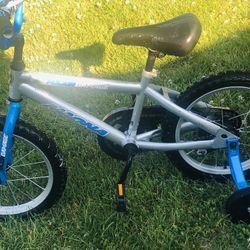 Magna  16 Inch  Bike With  Training  Wheels 