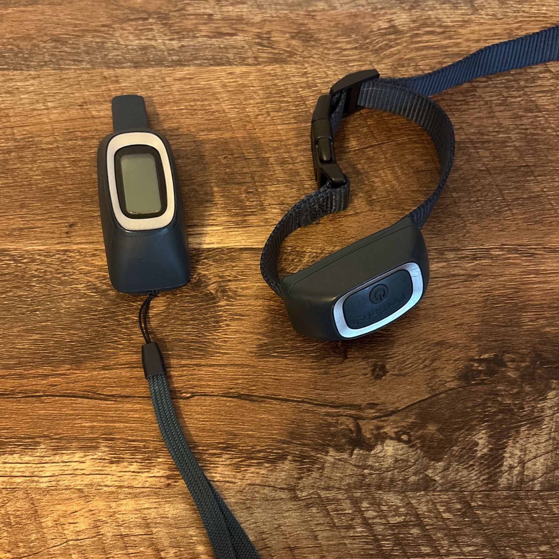 Shock Collar Training