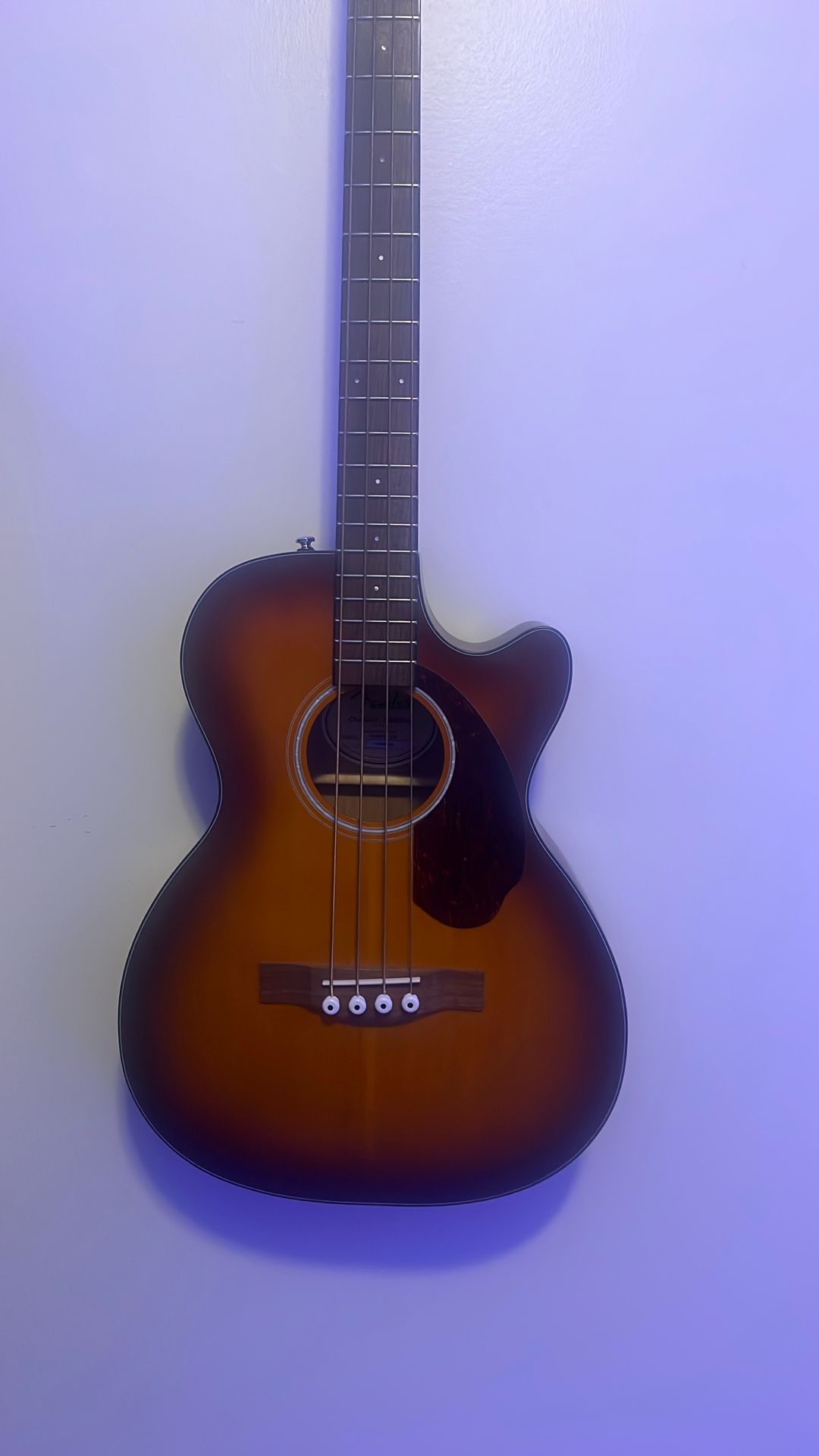 acoustic bass/bajoloche