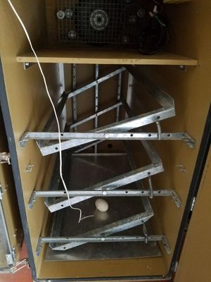 Gqf Model 1266 Cabinet Incubator W Automatic Turners For Sale In