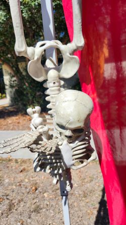 In Pieces Skeleton,  Halloween Decoration