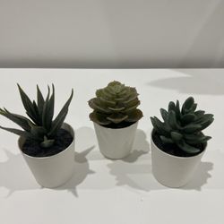Artificial Succulent Trio