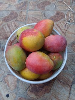 Mangos dulces