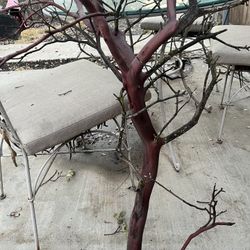 Reptile, Bird, Aquarium Manzanita Branches 