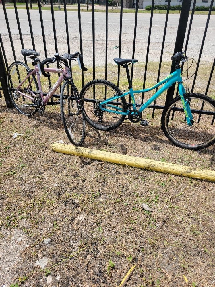 Womens Ladies Bicycles Giant Liv Scattante