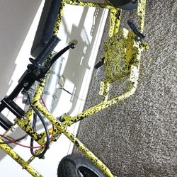 Rascal GT Minibike Roller