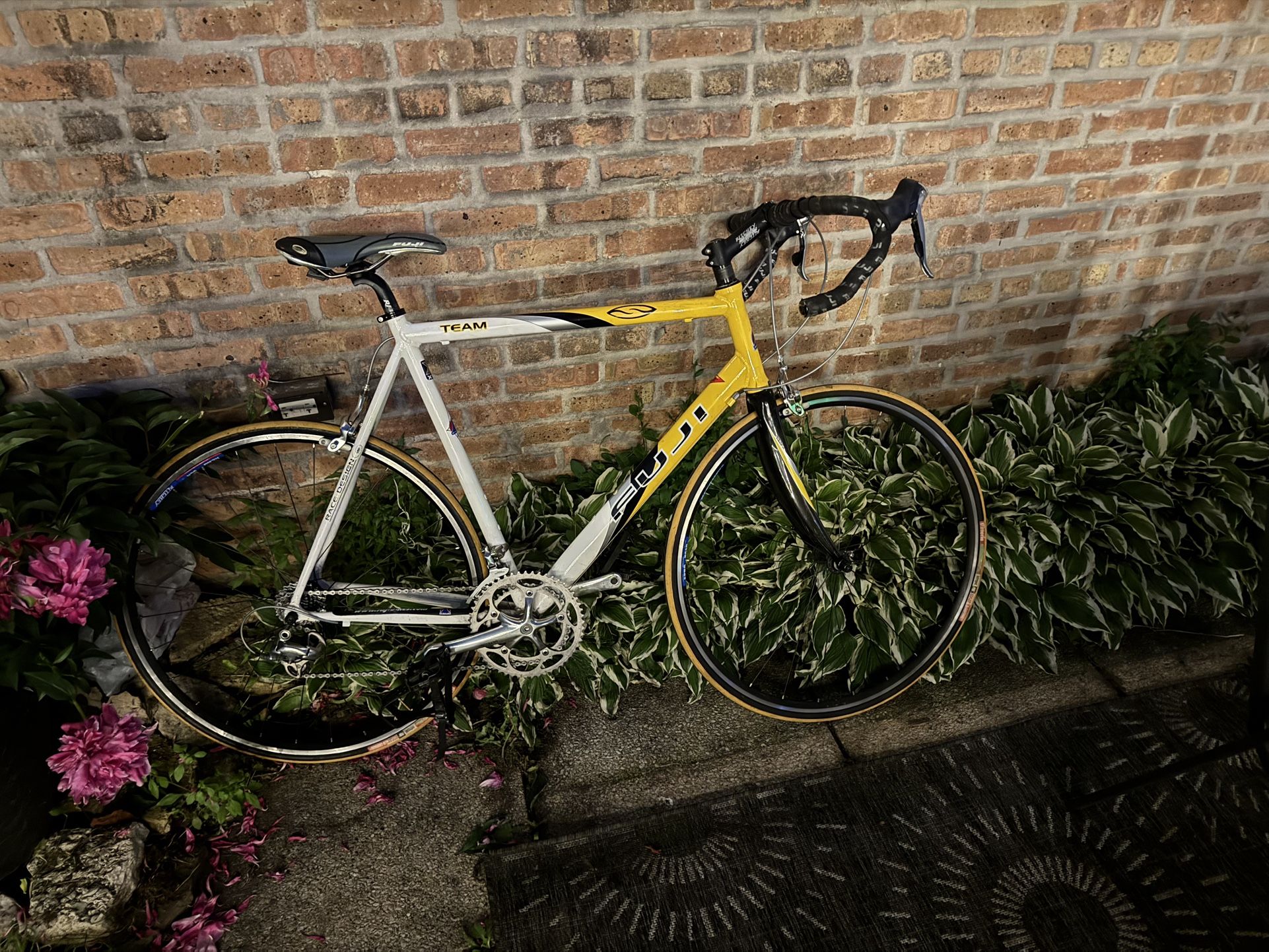Fuji Race Ave Team Bike 1000$