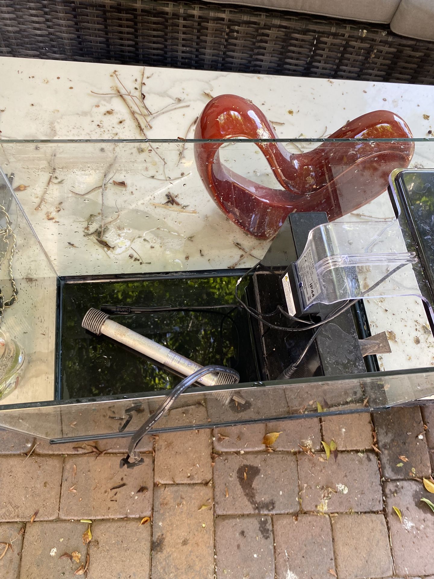 Fish Tank