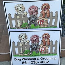 Dog Wash