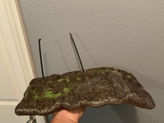 Large Turtle floating basking dock