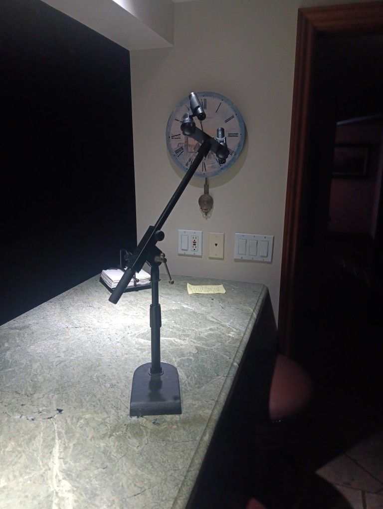 Mic Stand With Brand New Rode M5 Condenser Mics