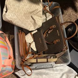 Michael Kors & Coach