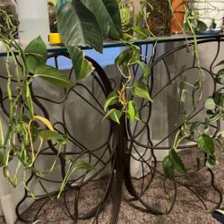 Butterfly Console Table 