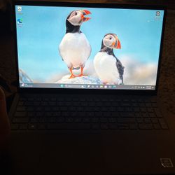Dell Inspiron 3525