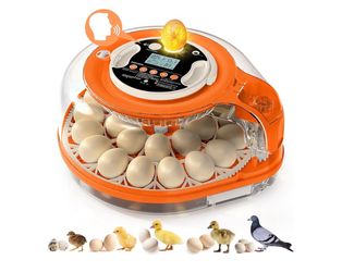 Digital Egg Incubator with Auto Turner