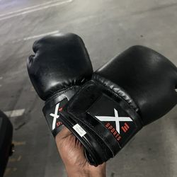 Kickboxing Gloves New 