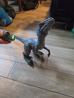 Remote control jurassic park raptor Blue toy