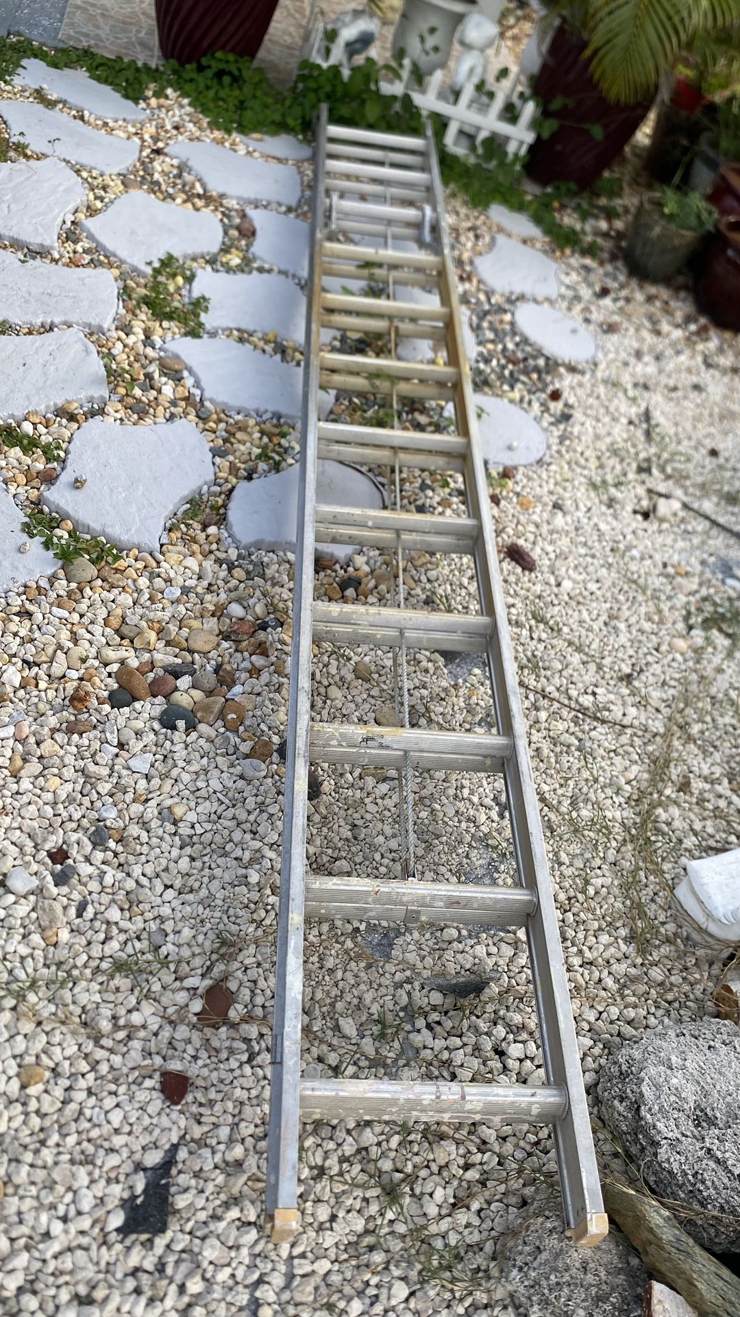 Ladder