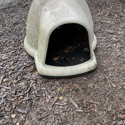 Dog House