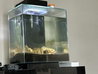Fish Tank 5 Gal