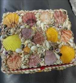 New Large  Seashell Box