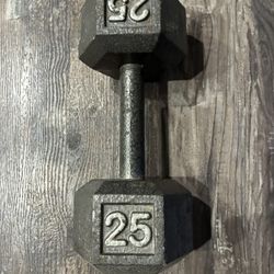 25 Lb Dumbbell
