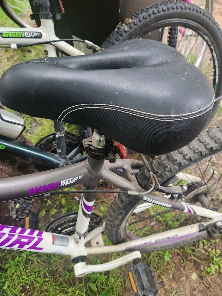 Genesis 26” Whirl Wind Mountain Bike