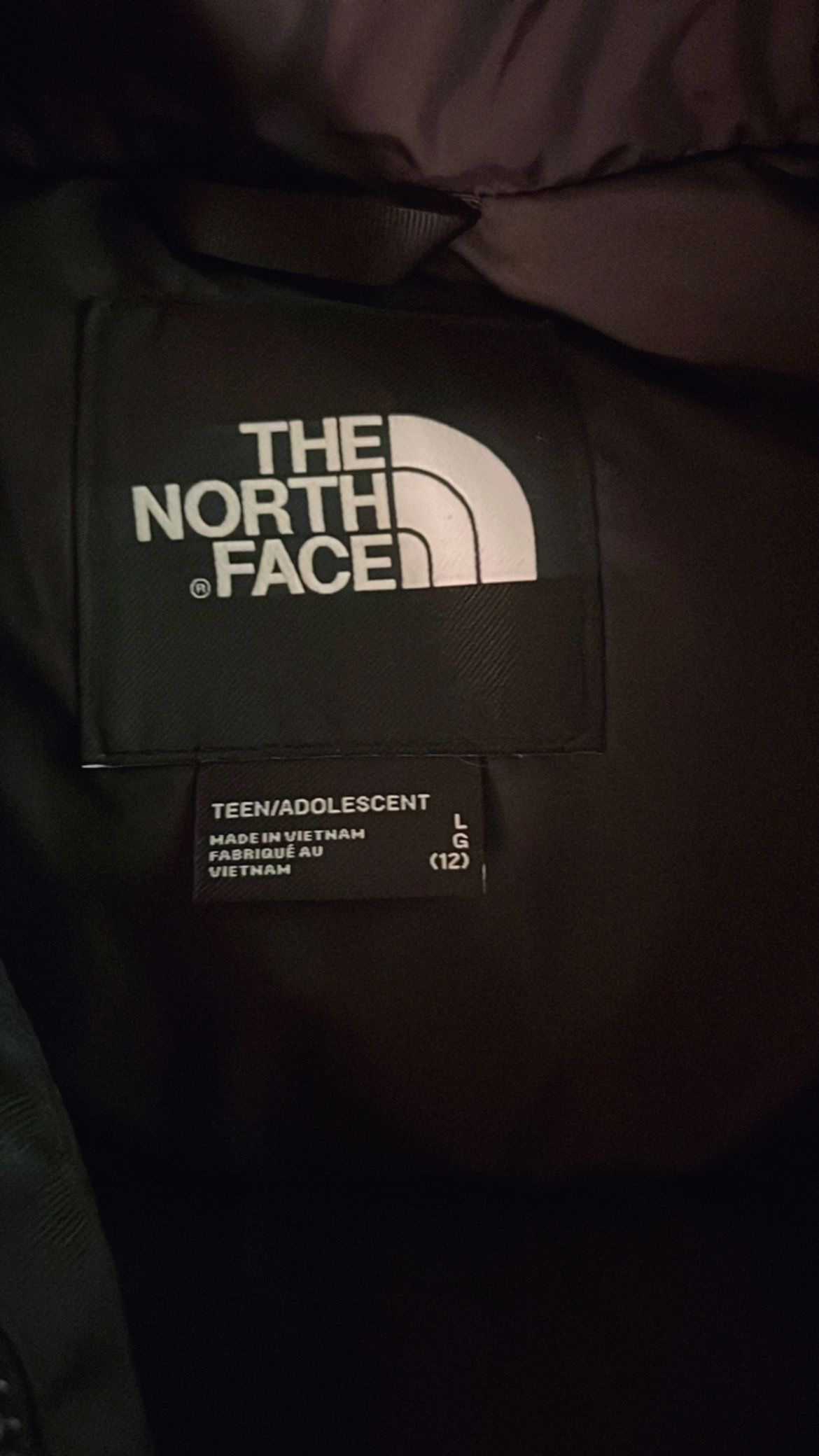 Brand New With Tags I Paid $230 For It Size L In Big Kids