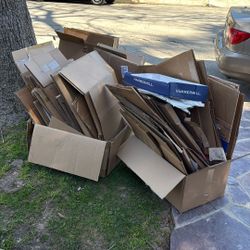 Free Boxes 