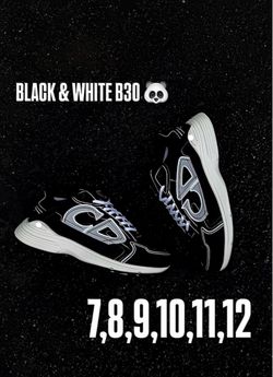 Dior B30 Sneakers Black & White