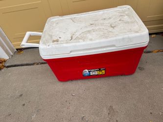 Cooler