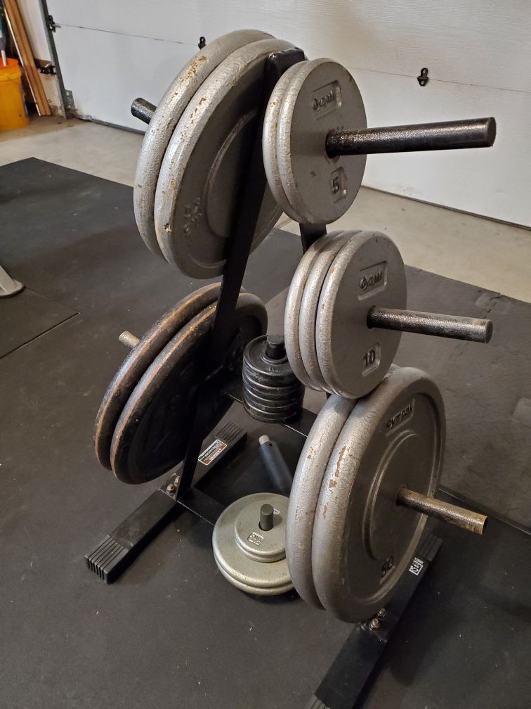 Weights 215lbs (standard) + barbell and squat rack / bench press $ $260