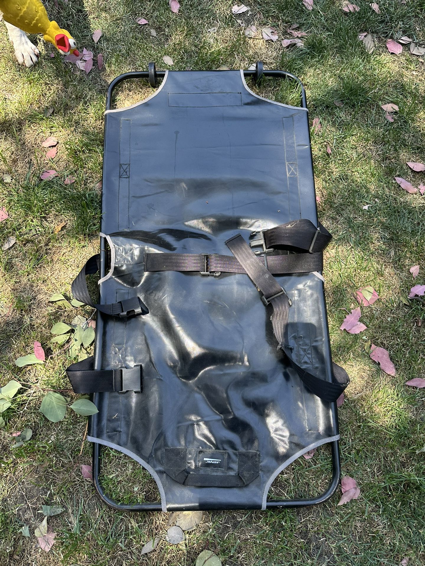 Dog stretcher gurney