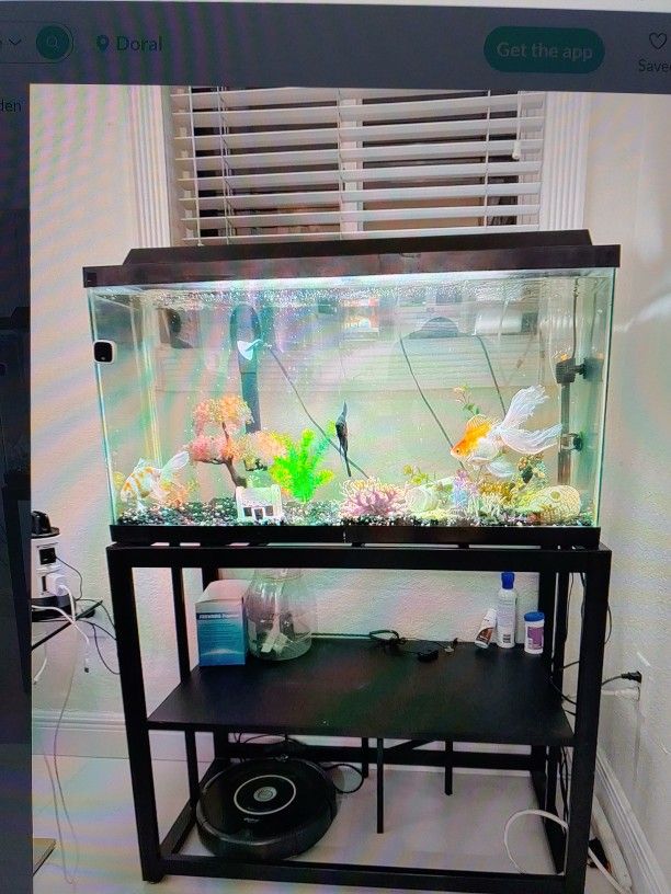 Beautiful 40 Gallon Fish Tank With Stand In Excellent conditions  No Fish Included