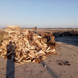 Firewood