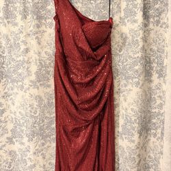 Women’s Dress Size Large