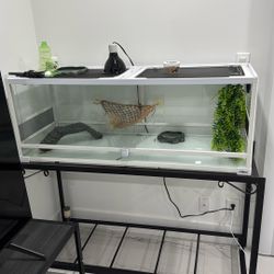 Reptile Tank & Stand 