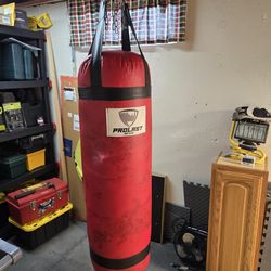 80 Pounds Punching Bag